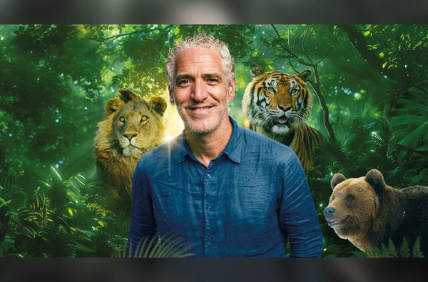 Gordon Buchanan: Lions And Tigers And Bears