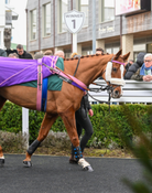 Christmas at Catterick