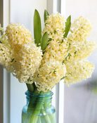 Heritage Bulb Planting