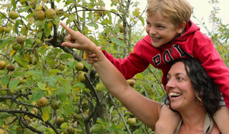 Pick Your Own at Ampleforth Abbey