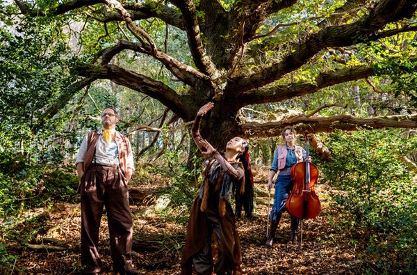 Frozen Light: The Ancient Oak of Baldor