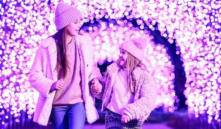 Glow at RHS Garden Harlow Carr