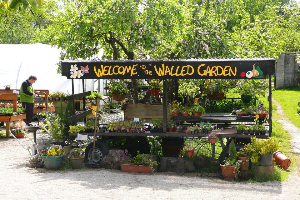 M Ripon 551 Ripon Walled Garden Café and Shop | Visit North Yorkshire
