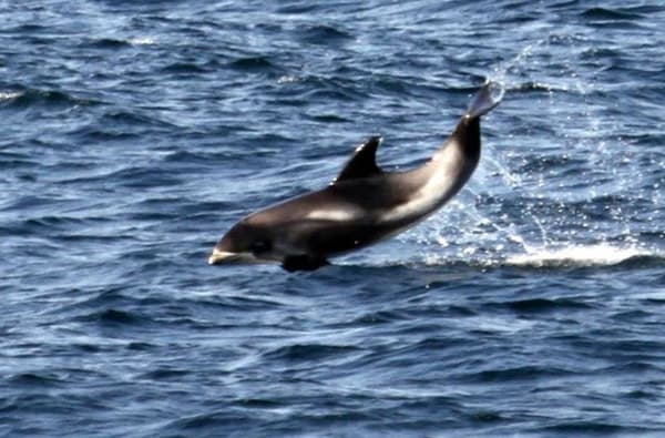 1471601462 944399106