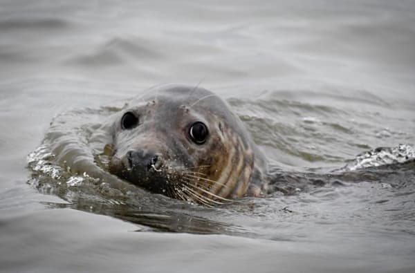 1522677038 667590813