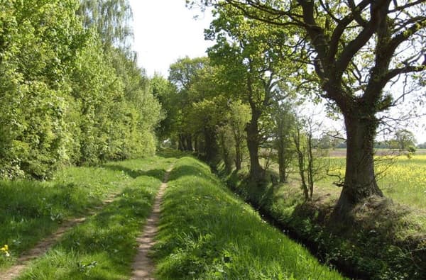 7083416 orig 1712774743