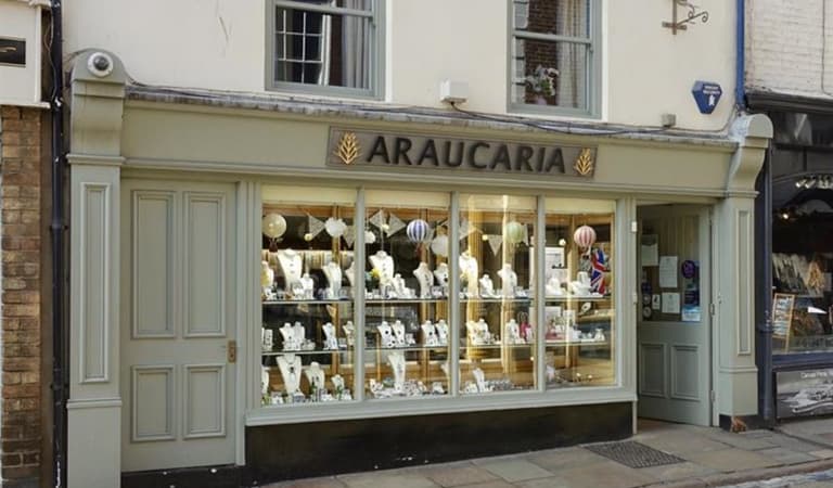 Araucaria 218189653