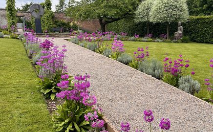 Candelabara Primulas 24 jpg 7
