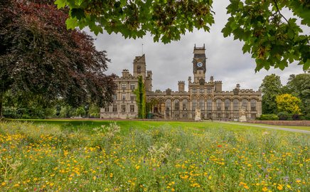 Carlton Towers wildflowers Chris Chambers copy