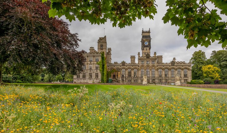 Carlton Towers wildflowers Chris Chambers copy