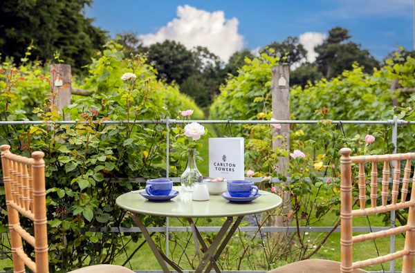 Carlton Vineyard Tour 2