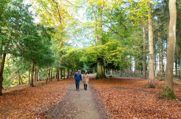 Charlotte Gale Destination Harrogate Fountains Abbey 12x8 0976 copy