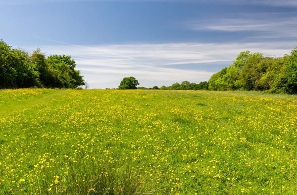 Charlotte Gale Knaresborough Round 1 web