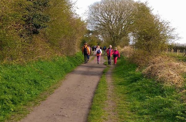 Cinder Track 155926455