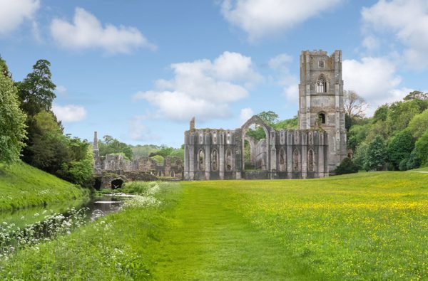 Copy of Charlotte Gale Fountains Abbey Fullsize 6618 copy