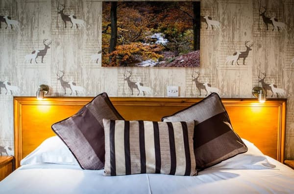 D43 ADF4 AACD54 ABB72 D264 B22 EA7239 F7 C7 B8772