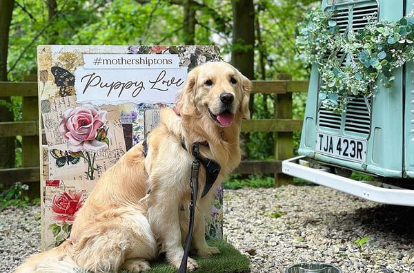 Dog Friendly Mother Shiptons Cave