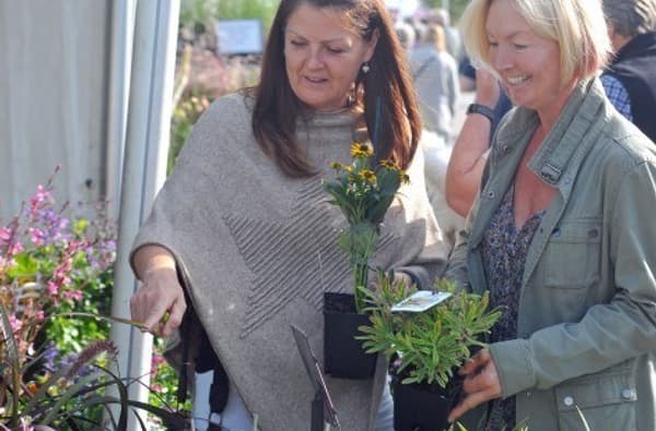 Extract Harrogate autumn flower show aut visitors 1086321826