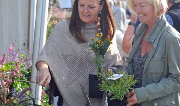Extract Harrogate autumn flower show aut visitors 1086321826