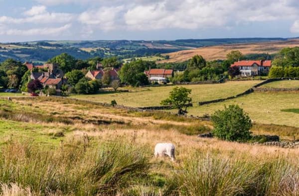 Goathland 800 1 13175 R 90271861