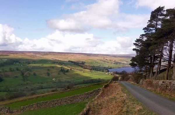 HARR FP Gallery Home Large Nidderdale Gouthwaite from Silver Hill spring min 256397420