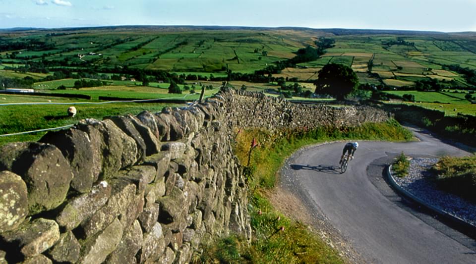 HARR Gallery Cycling Trapping Hill 282193871
