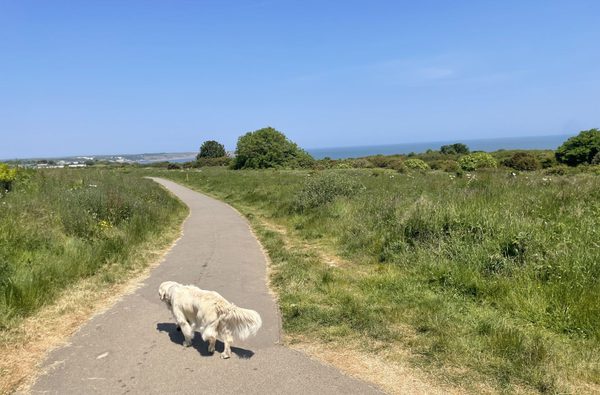 Visit North Yorkshire | The Bay Filey Holiday Park
