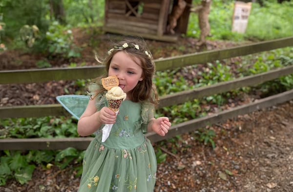 Ice Creams at Mother Shiptons Cave