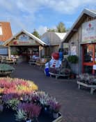 Irton Garden Centre 2025969536