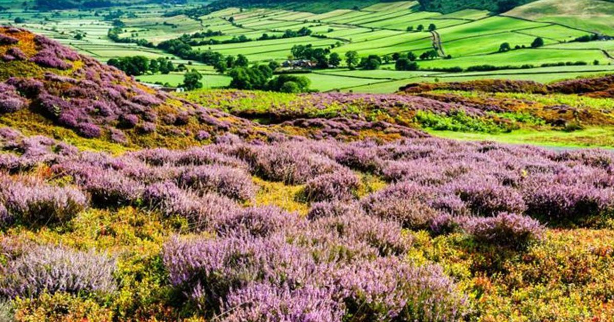 Castleton Rural Area Castleton to Lealholm Walk | Visit North Yorkshire