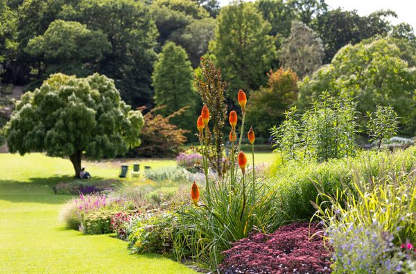 Press Harlow Carr Garden Vistas August 2023 11