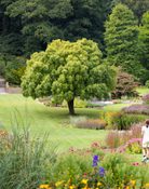 Press Harlow Carr Late Summer Lifestyle Sept 2024 09