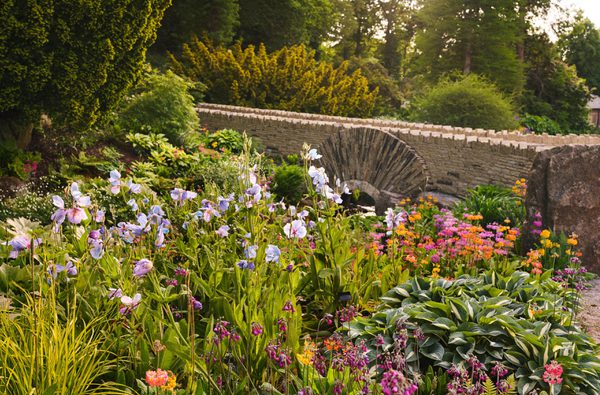 Press RHS Harlow Carr 189