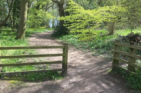 Raincliffe Woods Circular Walks Wallis Trail 2 1869834139