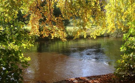 River Nidd Knaresborough vg Conyngham 1409336996 Medium