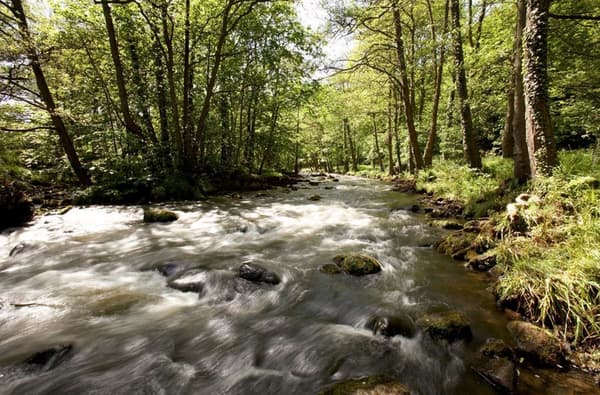 River Esk at Egton Bridge 2 by Chris Ceaser 968 2145489575