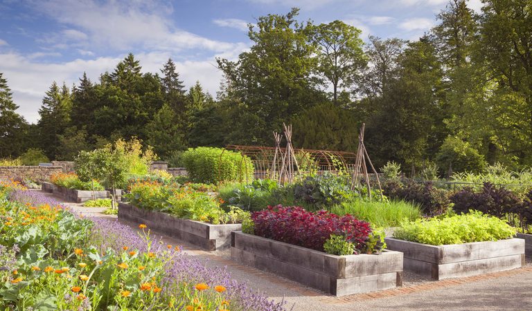 Rudding Park Kitchen Garden Summer 0195