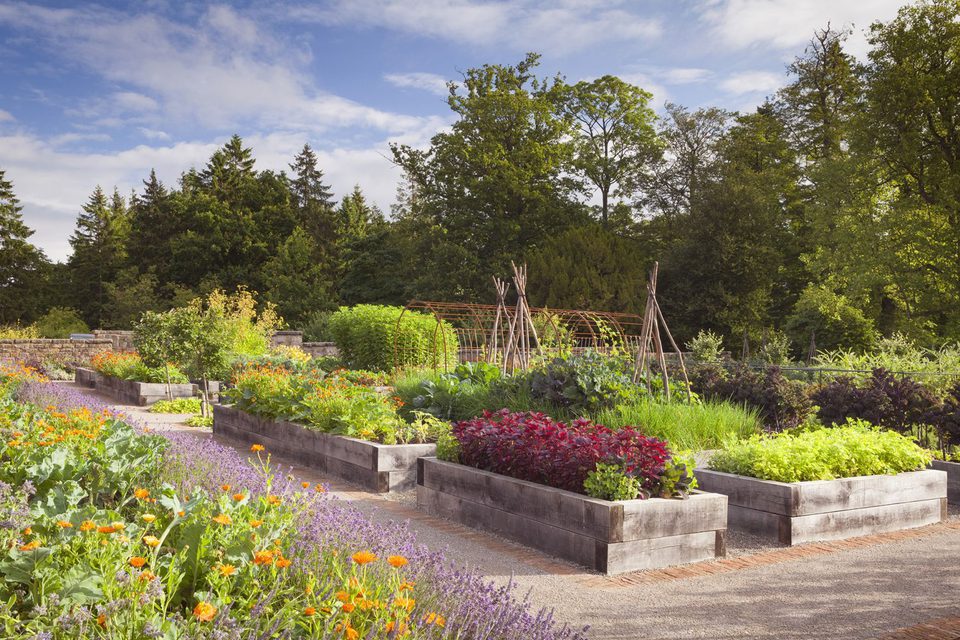 What Is Rudding Rudding Park | Visit North Yorkshire