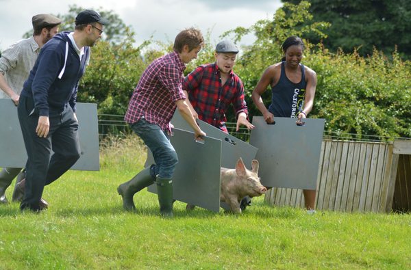 SUMMER Corporate Pigs 4 - Farm Adventure