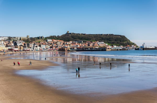 Scarborough 810 1 2569 R copy