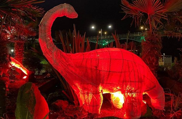 Scarborough Lights Dino bouts