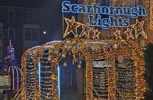 Scarborough Lights LED Light Tunnel