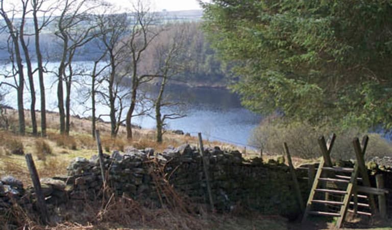 Style Lake 1832369916