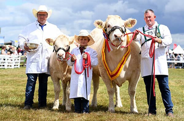 Supreme Beef VH