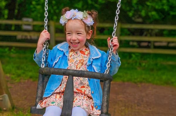 Swings in the Adventure Playground at Mother Shiptons