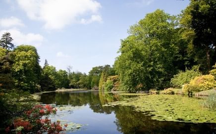 Swinton Park Parkland edited landscape Small
