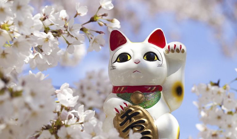 The Japanese Shop Lucky Cats