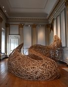 Thicket in the Saloon Beningbrough Wilderness Exhibition c National Trust Anthony Chappel Ross 4