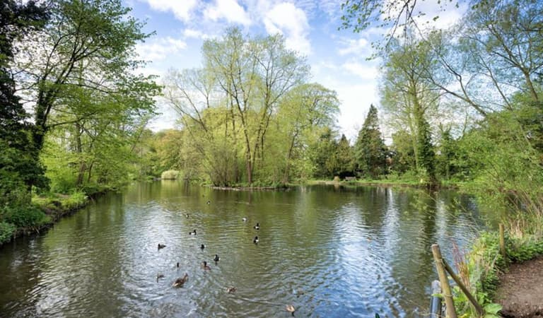 Thornton le Dale T 800 1 3241 R 1777113305