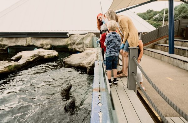 Tourism Visit NY Scarborough Sealife centre 2023 08 75 Medium
